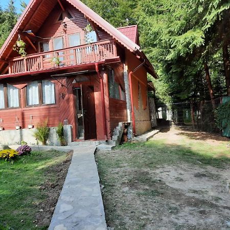 Willa Casuta Paterau Cheia, Prahova Cheia  Zewnętrze zdjęcie